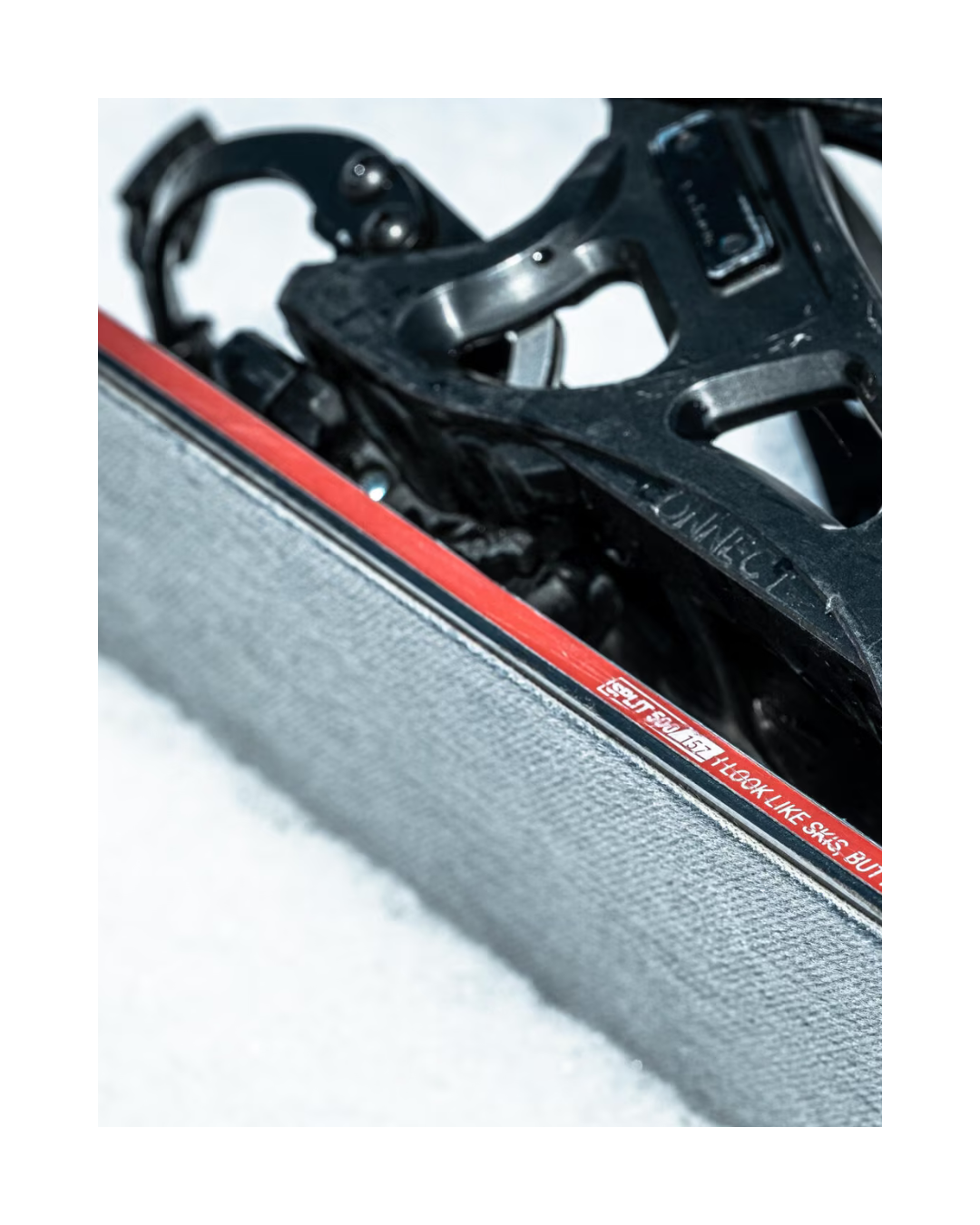 Couture de peaux de phoque