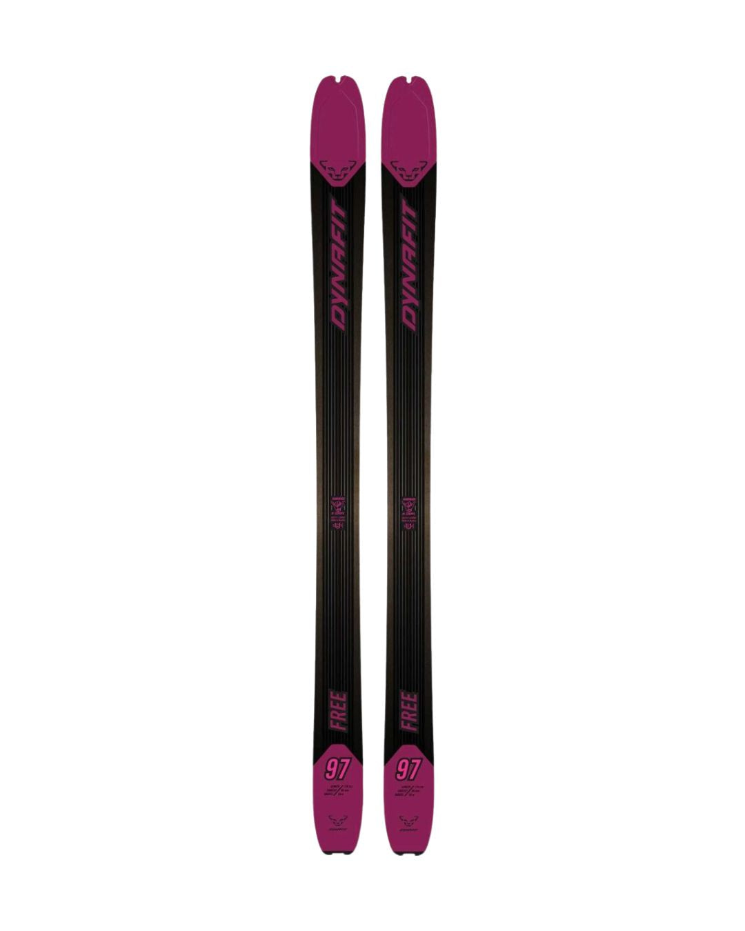 Dynafit- Ski de randonnée nu Free 97 W- 2023